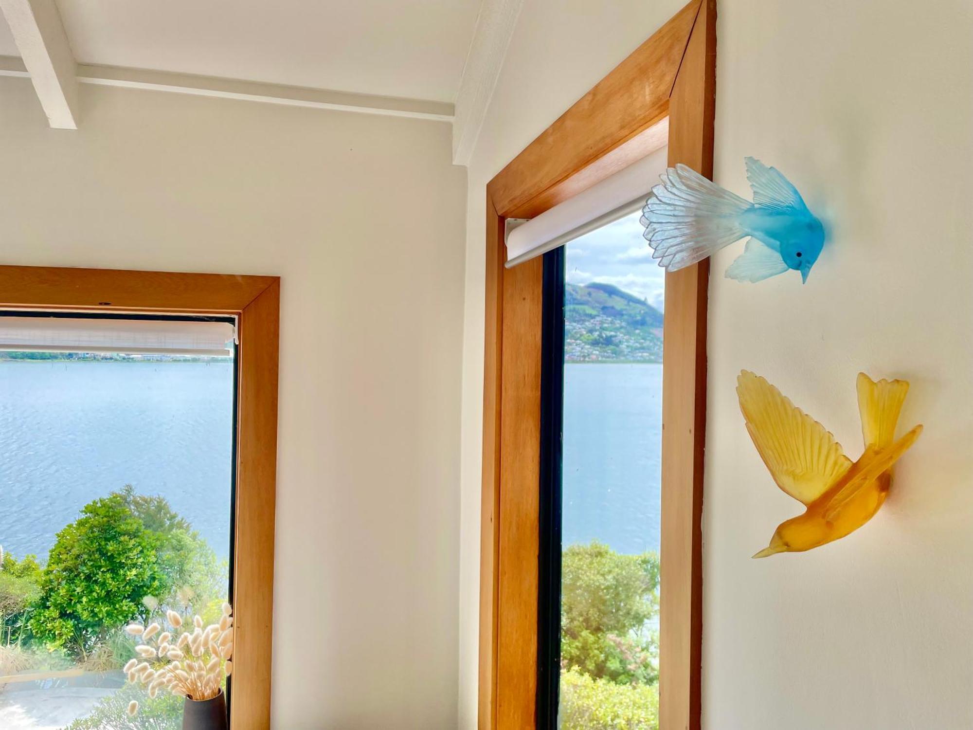 The Cove Cabin - Your Quiet Escape Dunedin Eksteriør bilde