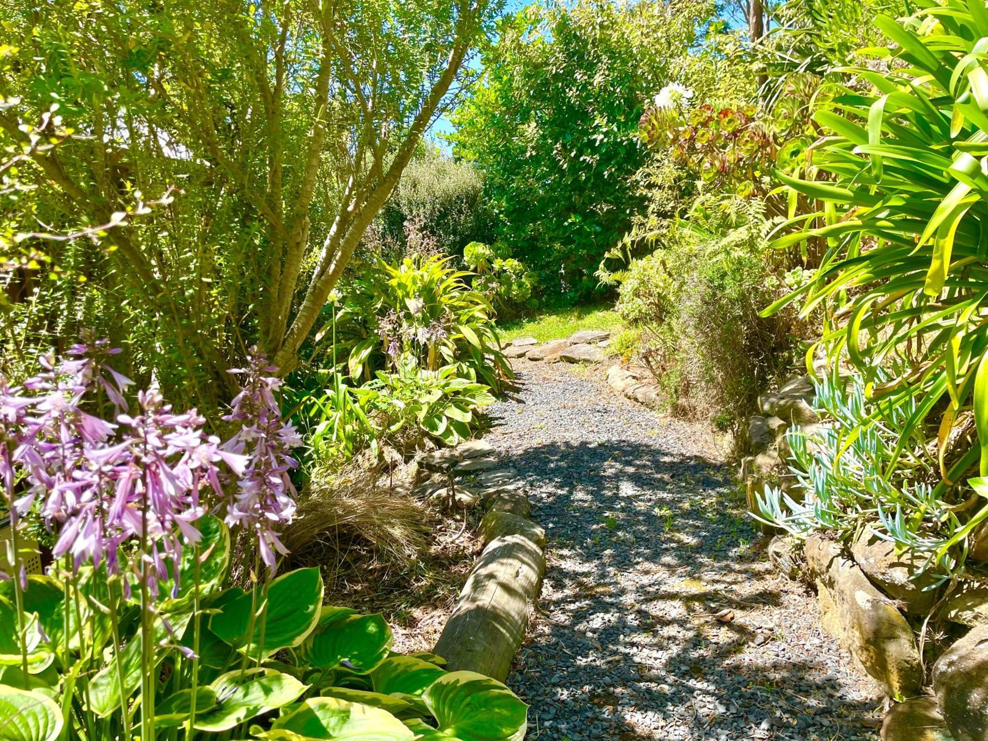 The Cove Cabin - Your Quiet Escape Dunedin Eksteriør bilde