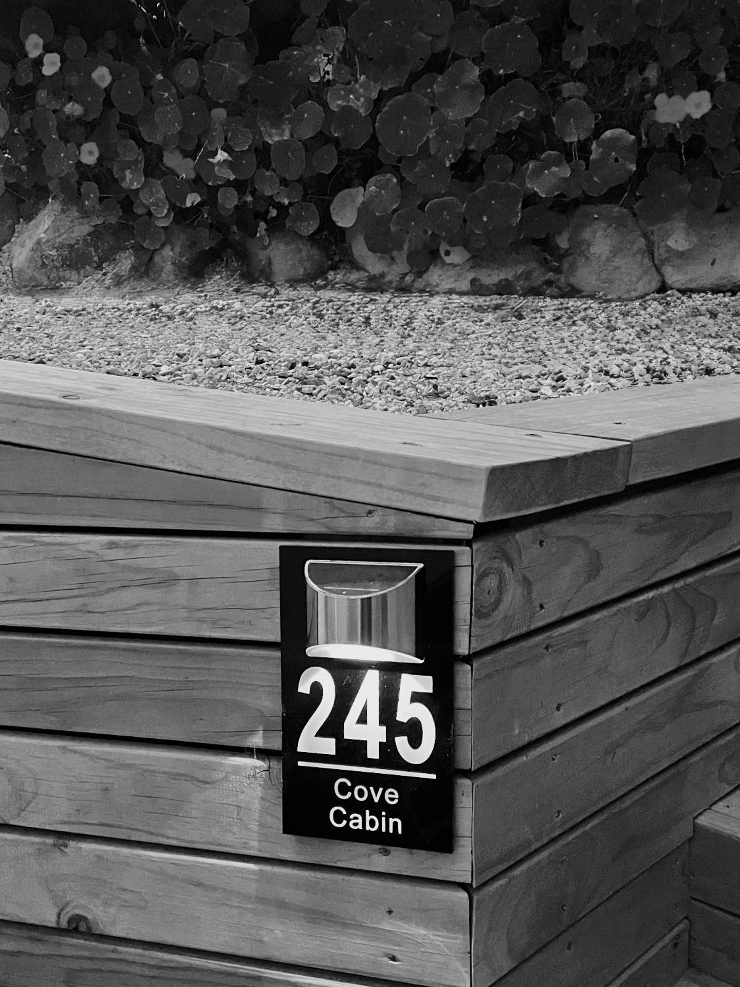 The Cove Cabin - Your Quiet Escape Dunedin Eksteriør bilde