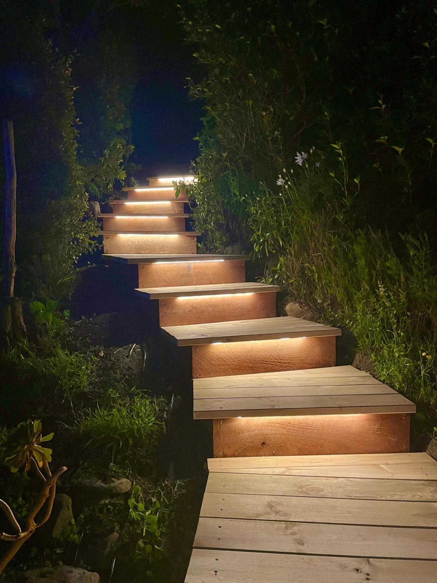 The Cove Cabin - Your Quiet Escape Dunedin Eksteriør bilde