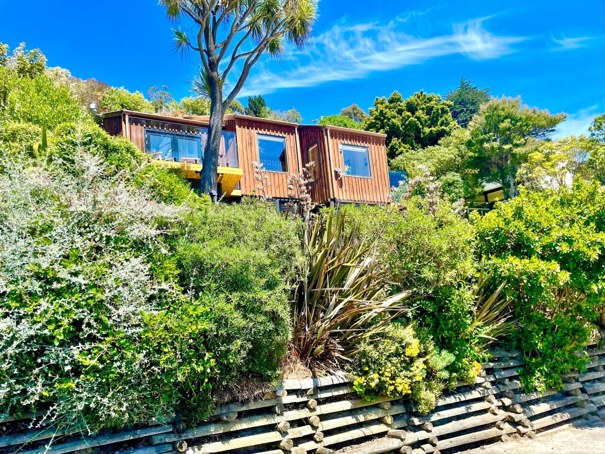 The Cove Cabin - Your Quiet Escape Dunedin Eksteriør bilde